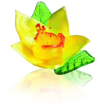 22 Jonquilles sucre tiré + 44 Feuilles