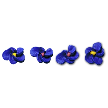 Violettes sucre