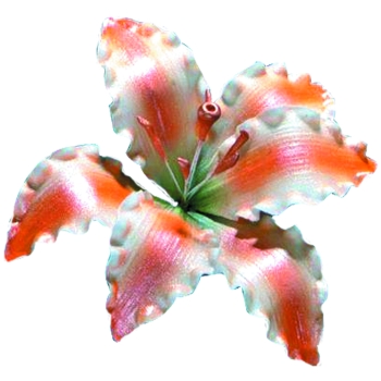 Fleurs de lys - la pièce