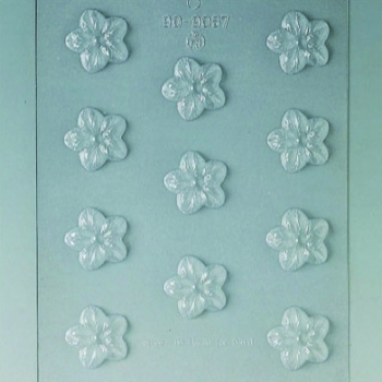 Plaque Divers - 11 fleurs 2