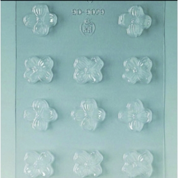 Plaque Divers - 11 fleurs 5