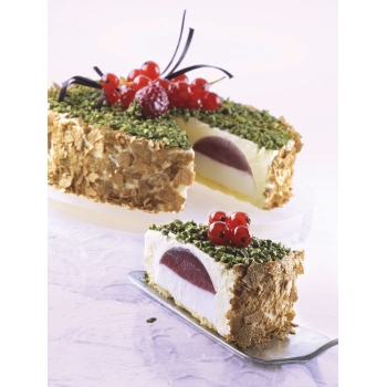 Moule silicone Torta flex -plaque 6 empreintes
