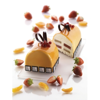Moule silicone Torta flex -plaque 6 empreintes "bûche"