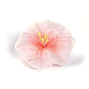 Empreinte silicone 1 - Fleur