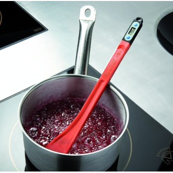 Spatule thermomètre exoglass