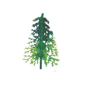Sapin volume