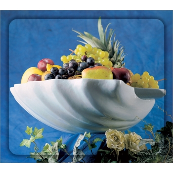 Moule à glace vive réutilisable modèle Coquille