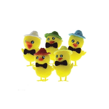 Poussin chapeau