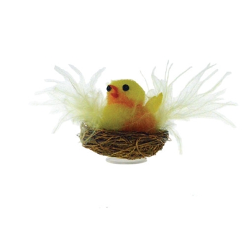 Poussin nid