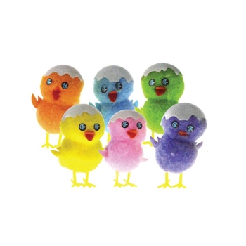 Poussin coquille coloris assortis
