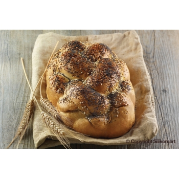 TRECCIA- Pain de shabatt - 2100 ml