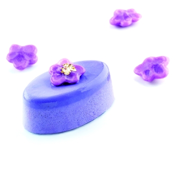 Moule silicone 63 ovales