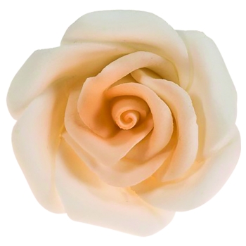Rose  - la pièce 