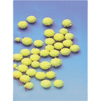 Boules de Mimosa sucre - 1kg 