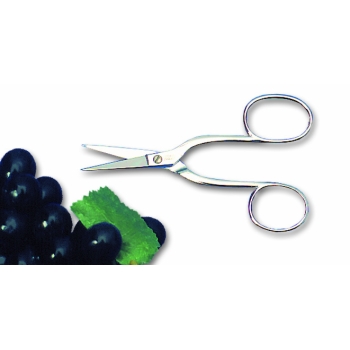 Ciseaux à oursins & raisins - 15,5 cm 