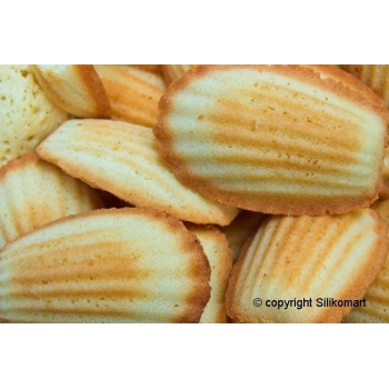 SF031 - Moules flexibles "Silicon Flex": 15 mini madeleines
