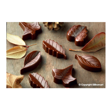 Plaque silicone pour chocolat "Easy Choc" : 8 feuilles assorties (plaque de 214 x 106 mm)     