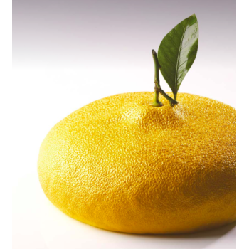 Moule Silicone Citron Gâteau - Collaboration avec Cédric Grolet 