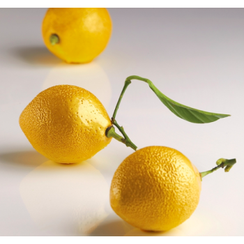 Moule Silicone individuel Citron - Collaboration avec Cédric Grolet 
