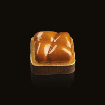 Moule Silicone Pavoflex - ROCK - 8x54 ml - En collaboration avec Gianluca Fusto 