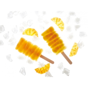 Moule mini glace - Maracaibo - 4 x 25 ml 