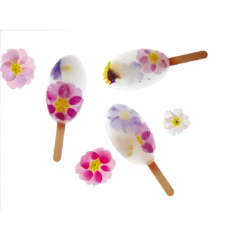 Moule mini glace - Waikiki - 4 x 35 ml 