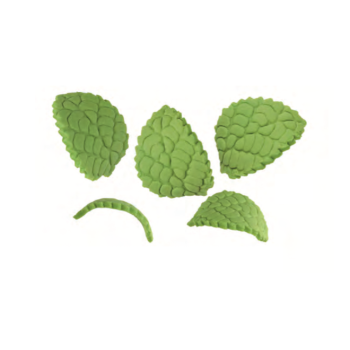 Feuilles courbes - 30 x 20 mm