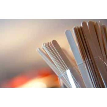 Bâtonnets à sucette & glaces - Bouleau naturel - 1000 unités