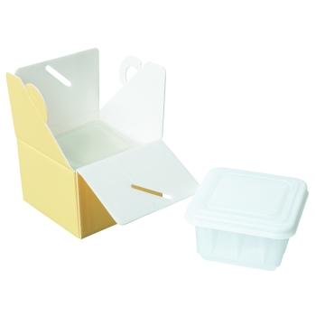 Boîtes isolantes à glaces en PSE - Par 25 unités