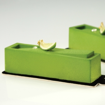 Moule silicone Pavoflex - 20 bandes inclinées