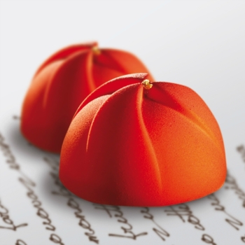 Moule silicone Pavoflex - 24 domes Vertigo