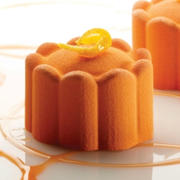 Moule silicone Pavoflex - 24 charlottes