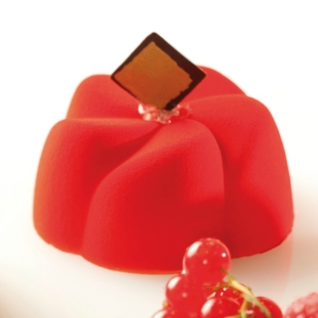 Moule silicone Pavoflex - 24 vrilles