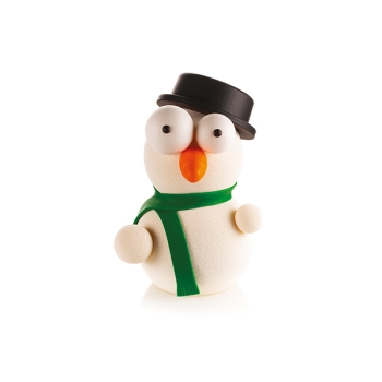 MOULE THERMOFORMÉ EN PVC RIGIDE - KIT MR SNOW 