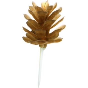 POMMES DE PIN
