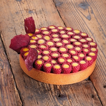 MOULE TOP SCARLET - EN COLLABORATION AVEC STEFANO LAGHI & SEBASTIANO CARIDI