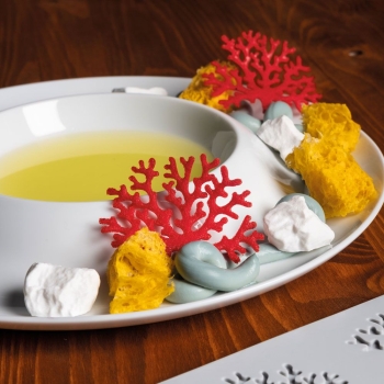 MOULE SILICONE CORAIL - 8 X 4 ML
