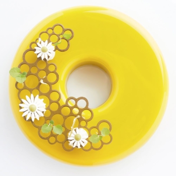 MOULE SILICONE PAVOFLEX - CERCLES 1 EN COLLABORATION AVEC FRANK HAASNOOT