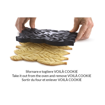 VOILÀ COOKIE