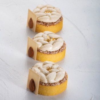 MOULE TOP MINI WALNUT - EN COLLABORATION AVEC STEFANO LAGHI & SEBASTIANO CARIDI
