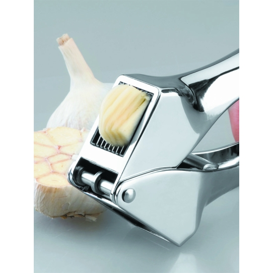 Presse ail et coupe ail inox 20 cm