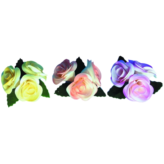 Roses nuancées - boite de 5 unités