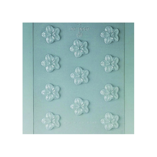 Plaque Divers - 11 fleurs 2
