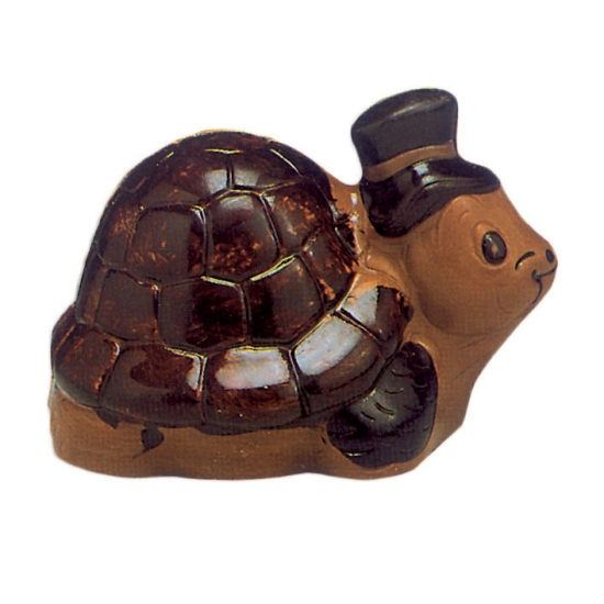 Moule polycarbonate 75 - Tortue