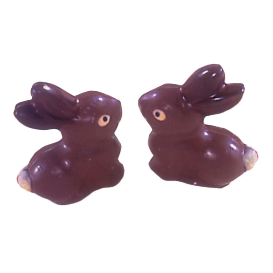 Moule polycarbonate 87 - Lapin