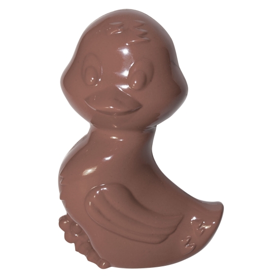 Moule polycarbonate 108 - Canard