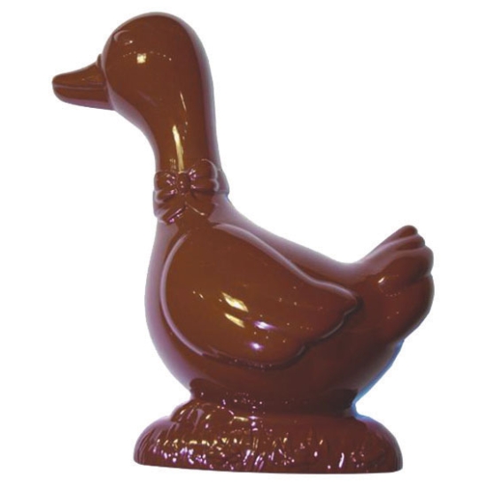 Moule polycarbonate 140 - Canard