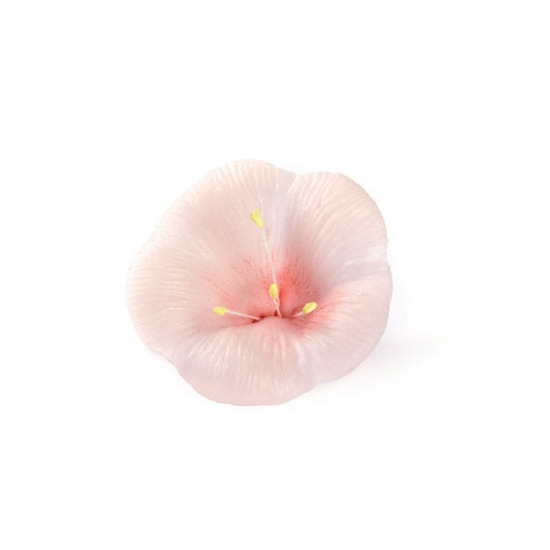 Empreinte silicone 3 - Feuille