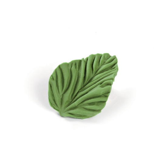 Empreinte silicone 5 - Feuille