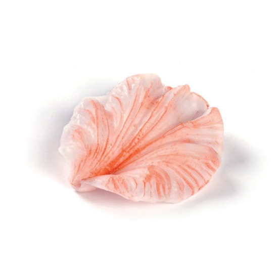 Empreinte silicone 9